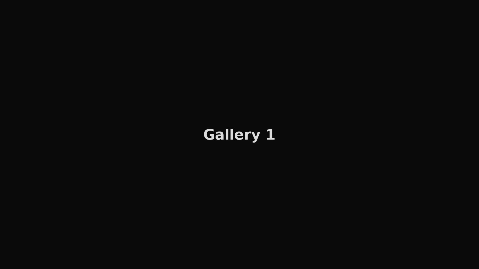 Gallery 1